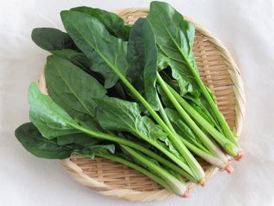 葉物(ホウレン草・小松菜)