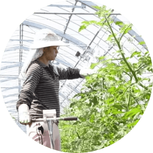 タキゲンと農業の出会い