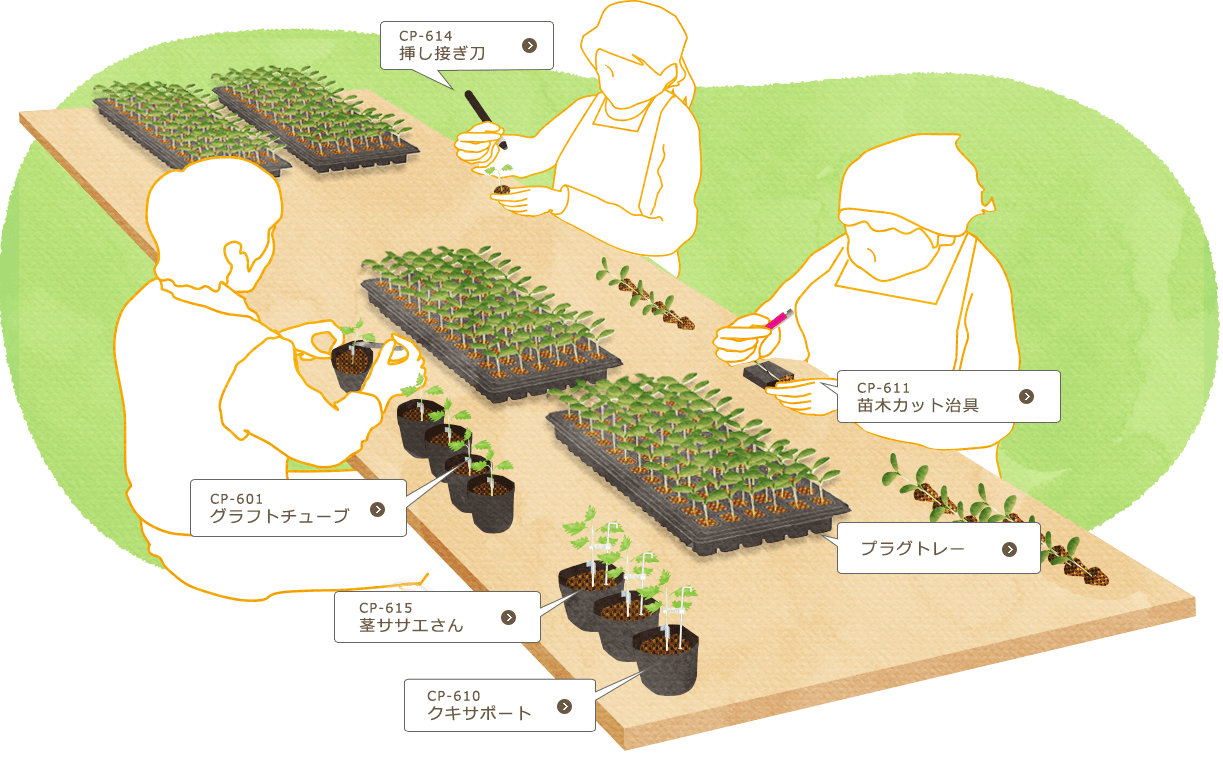 接ぎ木関連