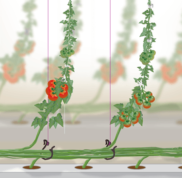 栽培関連の製品