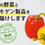 カラーバリエーション豊富でおしゃれな野菜！「パプリカ」